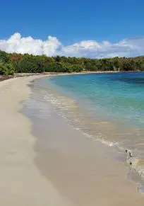 Ilha de Piñeros