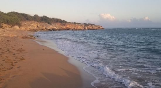Playa Pelicano
