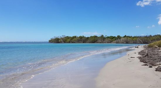 Playa Ballena