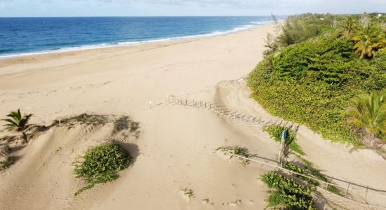 Hallows beach