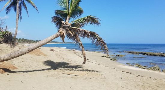 Playa Las Criollas