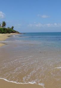 Ilha de Vieques