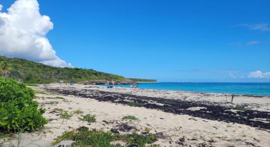 Playa Media Luna II