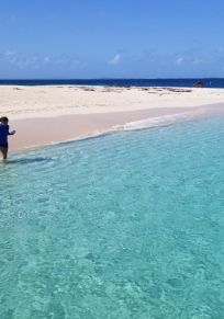 Ilha de Icacos