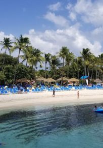 Ilha de Palominos