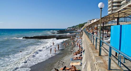 Dolphin beach