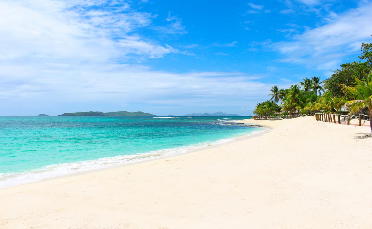 Plaża na Wyspie Palmowej