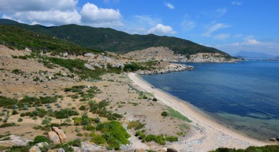 He Sea Beach