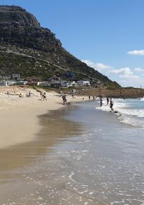 Pine Haven