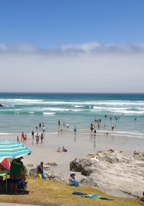 Hermanus
