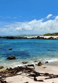 Pearly Beach