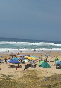 Outeniquastrand