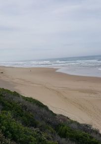 Sedgefield