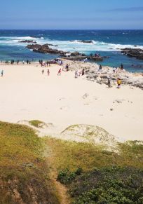 Gqeberha