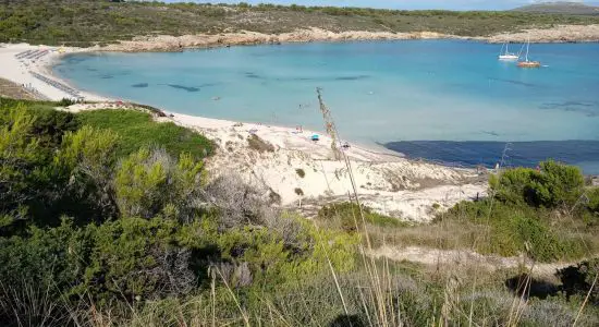 Spiaggia di Arenal Son Saura