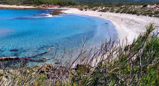 Παραλία Cala Algaiarens