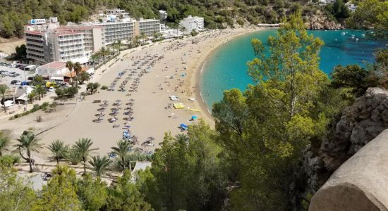 Παραλία Cala de Sant Vicent