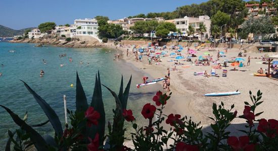 Platja de Sant Elm