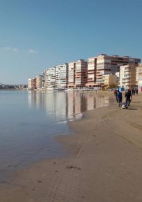 Torrevieja