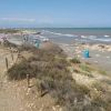 Santa Pola dog beach