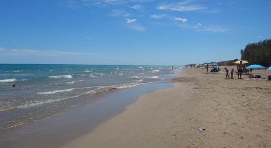 Playa de Torrenostra