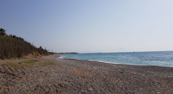 Playa Perrochos