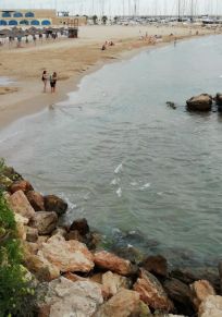 Roda de Bera