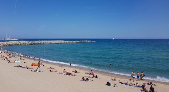 Playa Barceloneta