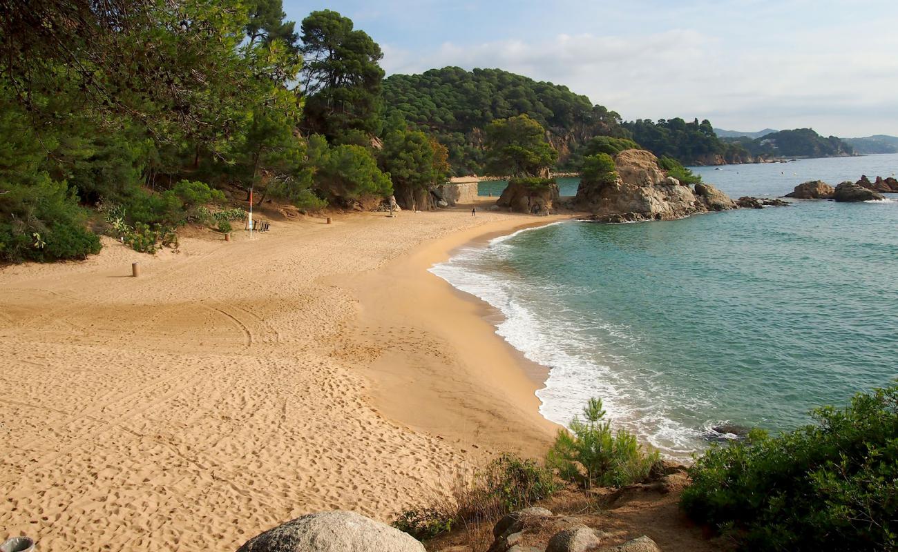 Cala Treumal beach