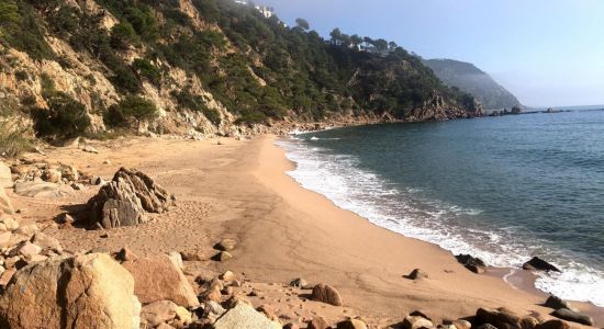 Spiaggia Cala Del Sr. Ramon
