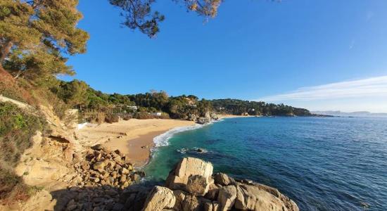 Spiaggia Cala Gogo