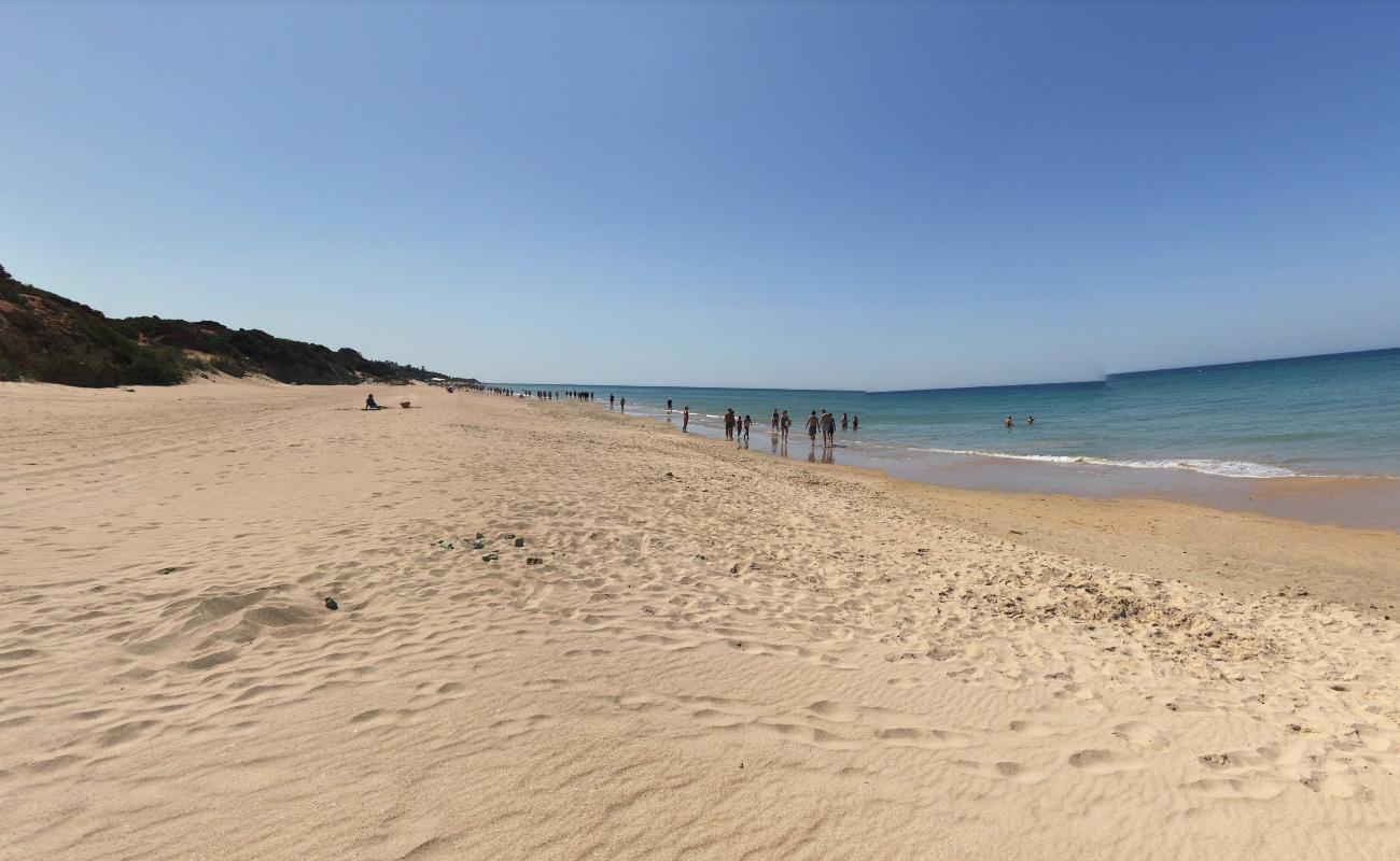 Plaża Puerco