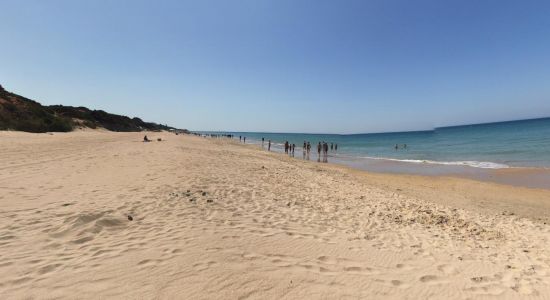 Puerco Plaža
