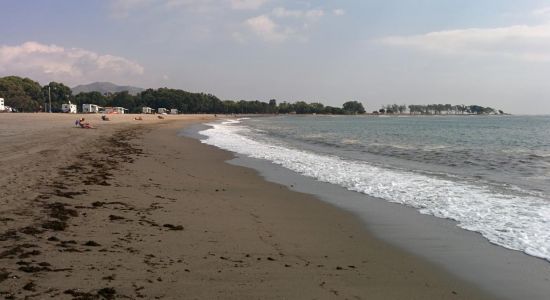 Playa de Quitapellejos
