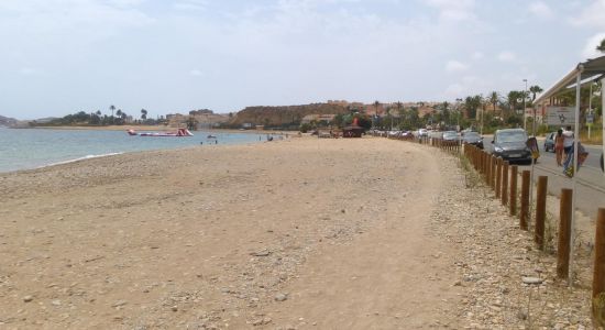 Playa del Alamillo