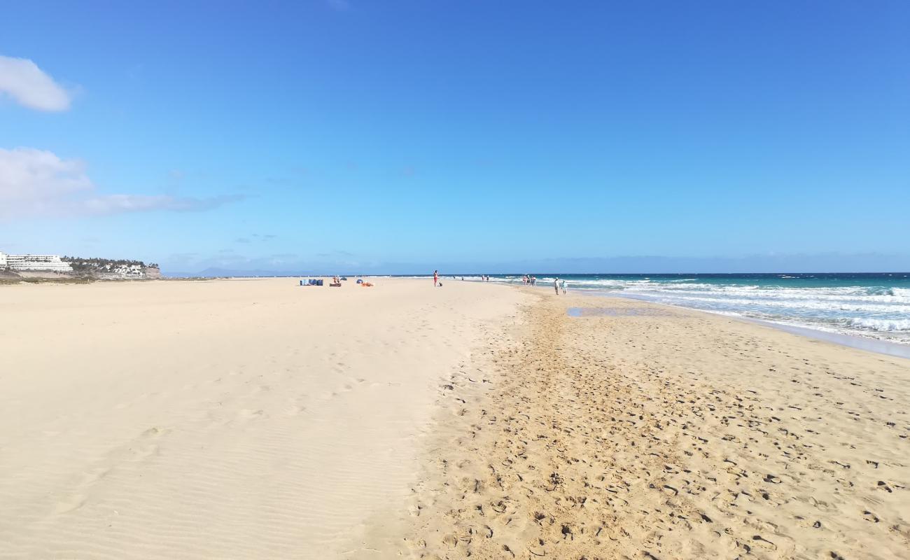 Spiaggia Gaviotas
