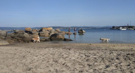 Dog beach O Espino