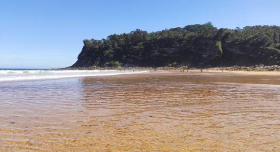 Playa de Espana