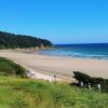 Spiaggia di Oyambre