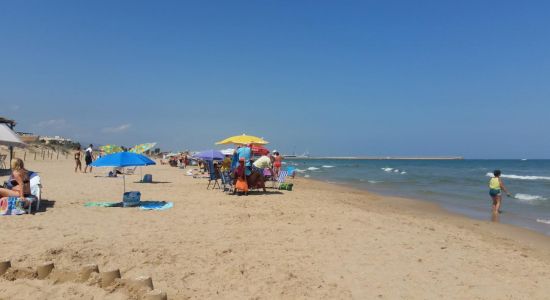 Plaża Daimus