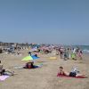 Plaża Malva-rosa