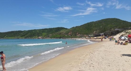 Praia do Rosa Sul