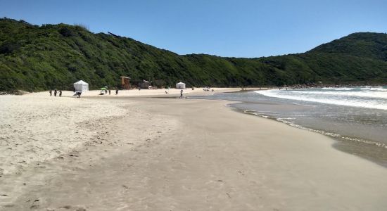 Praia do Rosa Norte