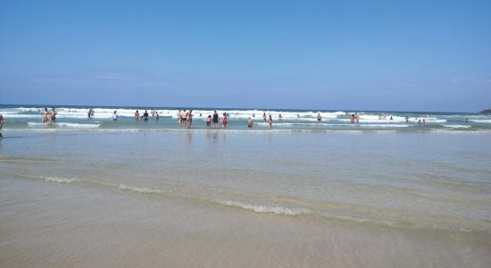 Praia de Pitangueiras