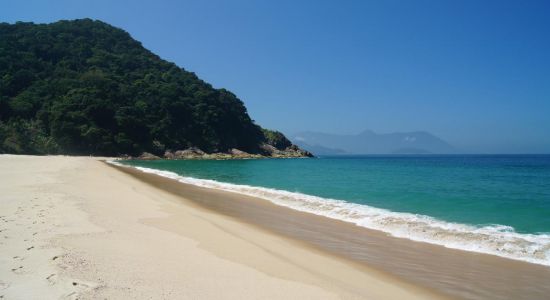 Spiaggia Brava