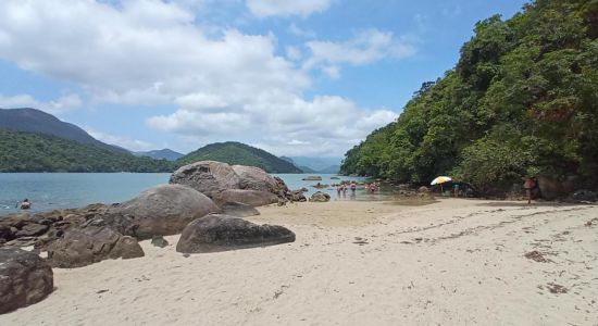 Ilha da Cutia Plaża
