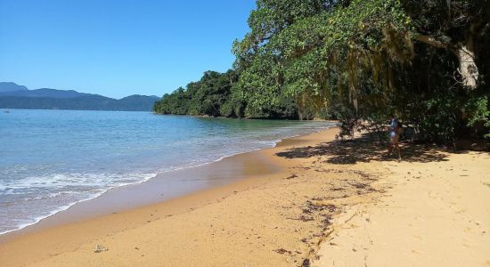 Spiaggia di Rose
