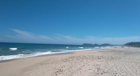 Praia de Jacone II