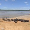 Coqueiros Beach