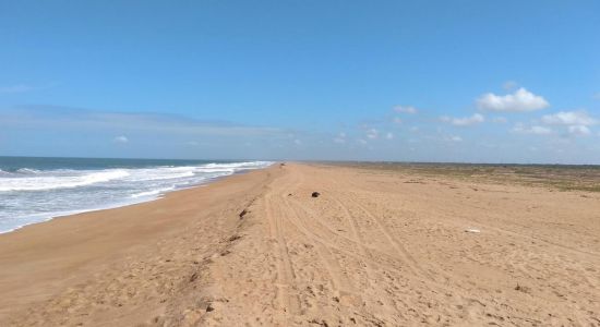 Plaża Regencia